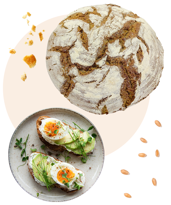 pain de seigle, tourte de seigle, morceau de pain, topping, petit-dejeuner, biobakehouse, maroc